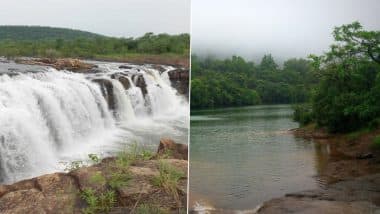 Monsoon Weekend Getaways From Mumbai: From Kune Falls to Bhushi Dam in Lonavala, Best Nearby Waterfalls and Dams To Visit During Rainy Season