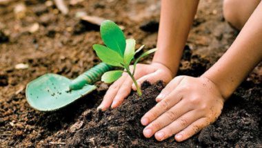 Independence Day 2024: Defence Ministry To Launch Tree Plantation Drive on Occasion of 78th Independence Day Ceremony on August 15