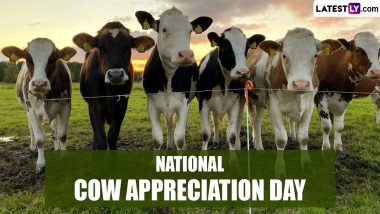 National Cow Appreciation Day 2024 Greetings: Send National Cow Appreciation Day HD Images, Messages and Wallpapers To Celebrate the Farm Animal