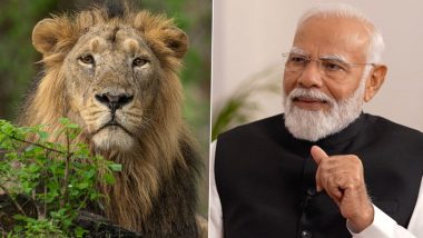 World Lion Day 2024: PM Narendra Modi Shares Stunning Pictures of Big Cats, Lauds Conservationists Who Work for Protection of Lions