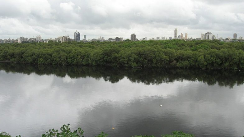 Mumbai: Three Dead Cows Found Tied and Submerged in Mithi River, Disturbing Video Surfaces