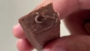 Worms in Cadbury Daily Milk Chocolate: Customer Claims To Find Live Worm &lsquo;Crawling&rsquo; on Crispello Bar (See Pics and Video)