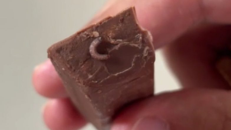 Worms in Cadbury Daily Milk Chocolate: Customer Claims To Find Live Worm ‘Crawling’ on Crispello Bar (See Pics and Video)