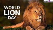 World Lion Day 2024 Images and HD Wallpapers for Free Download Online: Wish Happy Lion Day With Powerful Quotes, Photos, Messages, Slogans and Posters