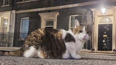 Larry the Cat Death: Downing Street Craft Media Plan for Announcing the Passing of ‘Chief Mouser to the Cabinet Office’, As Feline Nears End