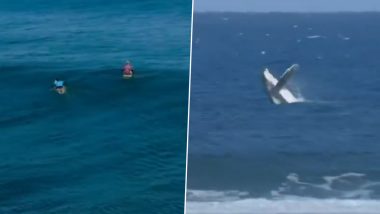 Paris Olympics 2024: Whale Makes Surprise Appearance During Surfing Semi-Final in Tahiti, Video Goes Viral