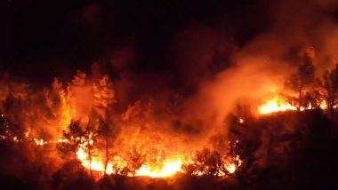 Greece Wildfires: 5 Communities, 2 Hospitals and 8 Villages Ordered To Evacuate As Wildfires Approach Athens; Firefighting Efforts Intensify (See Pics and Videos)