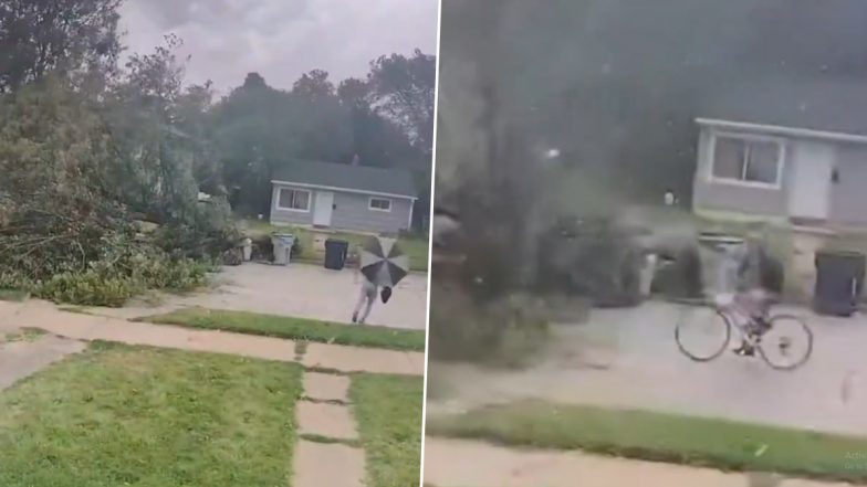 US: Bicyclist Thrown Over Handlebars After Crashing Into Fallen Tree in Milwaukee During Storm, Walks Away Unharmed (Watch Video)