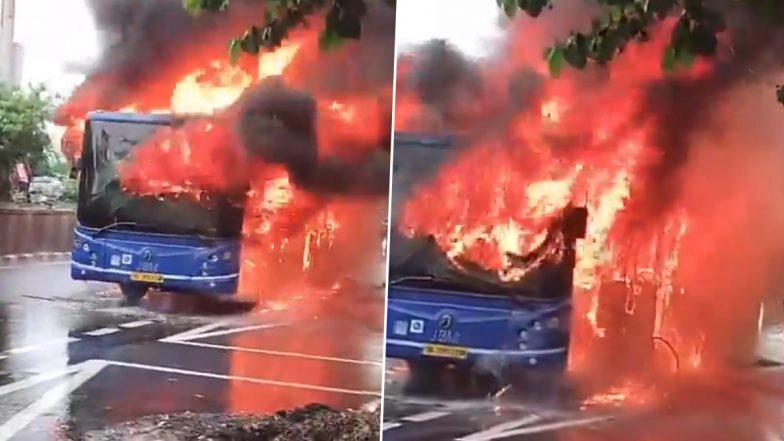 Delhi Bus Fire Video: DTC Bus Gutted in Blaze Triggered by Short Circuit in AC System, All 50 Passengers Evacuated Safely