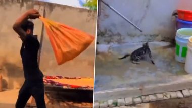 Animal Cruelty in Bulandshahr: Youth Spins Cat in Sack for Reel Video in Uttar Pradesh, Disturbing Footage Surfaces