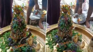 Sawan Somwar 2024: Devotees Witness Rare Sight As Cobra Coils Around Shivling at Jhansi’s Kedareshwar Temple (Watch Video)