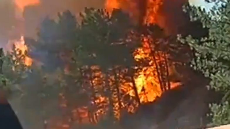 Turkey Wildfire Videos: Nearly 4,000 Residents Evacuated, Helicopters Deployed Amid Forest Fires in Izmir and Surrounding Provinces