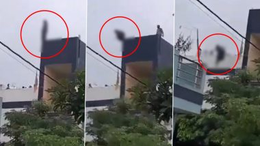 Suicide Caught on Camera in Indore: Woman Jumps off 3rd Floor After Fight With Husband, Dies; Disturbing Video Surfaces