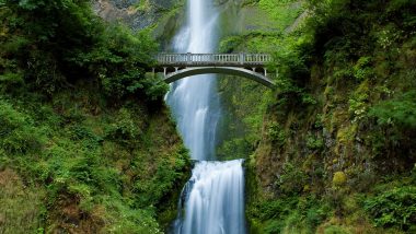 Italian Tourist Falls to Death While Taking Selfie at Gajah Mas Waterfalls in Bali, Girlfriend Survives Tragic Accident