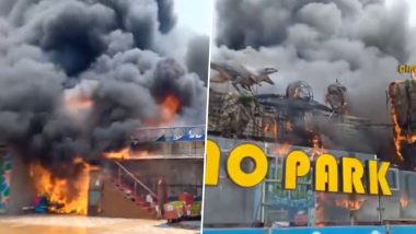 Visakhapatnam Fire Videos: Short Circuit Suspected As Dino Park on RK Beach Road Goes Up in Flames in Andhra Pradesh