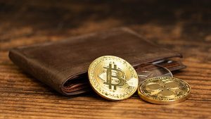 technology-Crypto Crackdown: FIU Issues Notices to 15 Crypto Platforms, Seeks Blocking of Websites and Apps