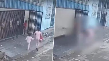 Pune Horror: Child Dies After Metal Gate of Housing Society Falls on Her in Pimpri Chinchwad, Terrifying Video Surfaces