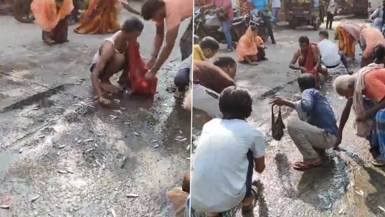 Katihar: Van Carrying Fish Overturns, Passersby Engage in Looting, Leading to Traffic Disruption (Watch Video)