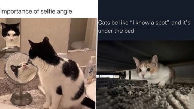 International Cat Day 2024 Funny Memes and Jokes: These Hilarious Cat Memes, ROFL Posts and Feline-Inspired Humorous One-Liners Are Absolutely Meow-Velous