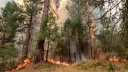 Jennings Creek Wildfire: 18-Year-Old Park Ranger Dariel Vasquez Killed While Battling Wildfire Near New York-New Jersey Border in US