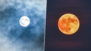 Super Blue Moon 2024 Pictures and Videos: August Sturgeon Supermoon Lights Up the Night Sky, Stargazers Share Mesmerising Images of the Rare Lunar Phenomenon