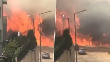 Izmir Wildfire: Wildfires in Western Turkiye Threaten Homes on City Outskirts and War Memorials at Gallipoli Site (Watch Videos)