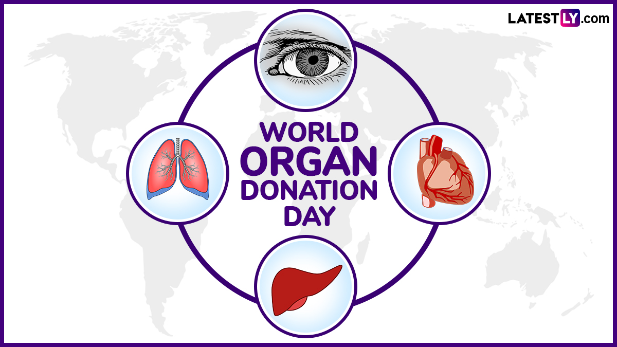 Festivals & Events News When is World Organ Donation Day 2024? Know