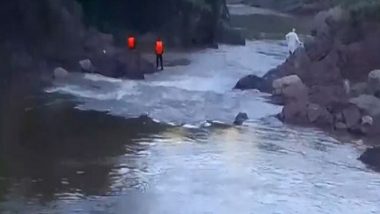 Jammu and Kashmir: SDRF Starts Search Operation After Boy Drowns in Overflowing River Due to Heavy Rainfall in Rajouri (Watch Videos)