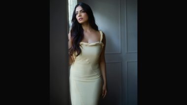 Malavika Mohanan Movies: From ‘Pattam Pole’ to ‘Thangalaan’; Check Out These Hits of the Actress Before Watching Her in ‘Yudhra’