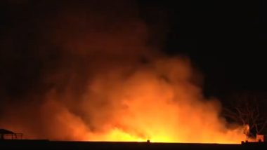 Delhi Fire Video: Massive Blaze Engulfs Waste Material Warehouse in Karala, 12 Fire Tenders Deployed (Watch Video)