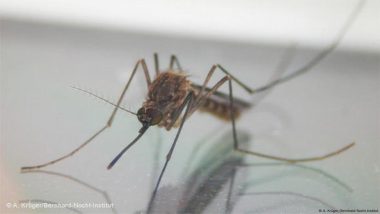 West Nile Virus is on the Rise: What You Need to Know