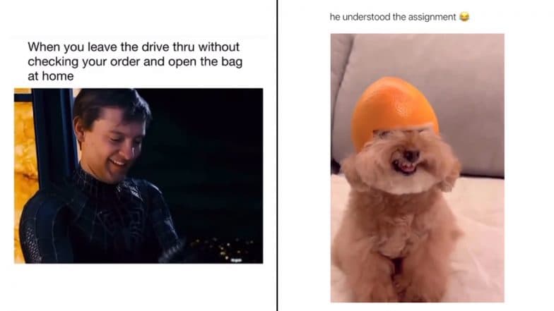 Funny Instagram Reels To Share on National Tell a Joke Day 2024