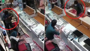 Rajasthan: 1 Dead, 3 Injured As Sticks and Gun Wielding Robbers Attack and Loot Jewellery Store in Bhiwadi, Disturbing Video Surfaces