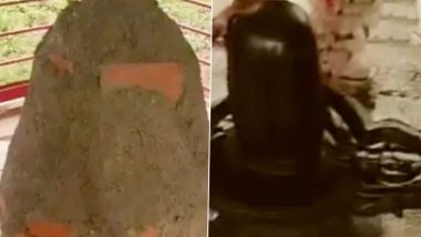 Gwalior: Women Seal Shivalinga with Bricks and Cement Amidst Sawan Month; The Reason Will Shock You!