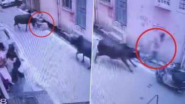 Cow Attack in Lucknow: 20 Injured After Cattle Goes on Rampage in Rakabganj, Disturbing Video Surfaces