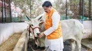 Krishna Janmashtami 2024 Wishes: Madhya Pradesh CM Mohan Yadav Extends Greeting, Performs &lsquo;Gau Seva&rsquo; (See Pics)
