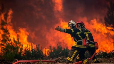 Wildfires: Is Europe Doing Enough to Prevent Them?