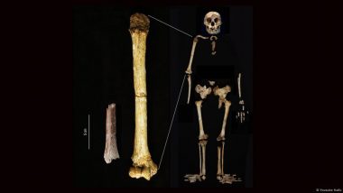 Ancient 'Hobbit Man' Even Smaller Than Originally Thought