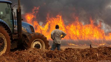 Brazil Wildfires Worsened by 'mega Drought,' Extreme Heat