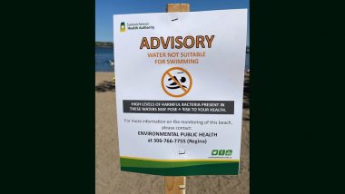 Canada: Health Authority Issues Warning for Regina Beach Due to Dangerous E. coli Levels; Learn How High E. coli Levels Can Impact Health