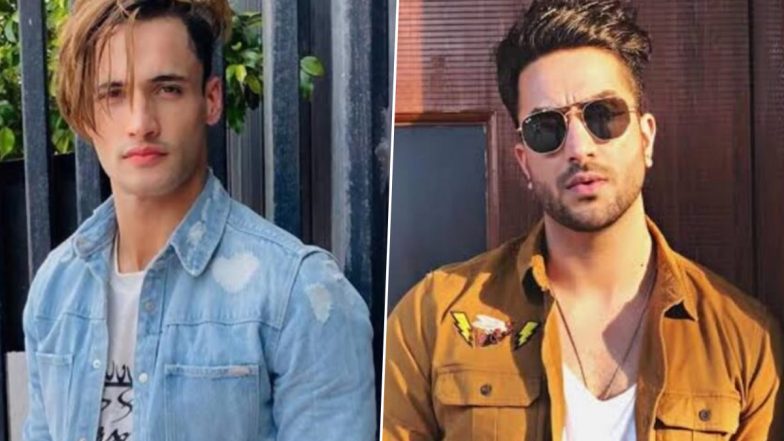 ‘Khatron Ke Khiladi 14’: Aly Goni Defends Asim Riaz Over His Fight With Makers, Says ‘Bigg Boss Thodi Chal Raha’ (Watch Video)