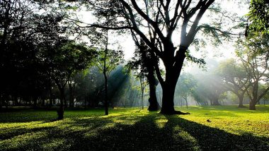 Bengaluru: Man Chased Away by Girl for Allegedly Flashing, Masturbating in Front of Women at Cubbon Park; Police React to Viral Video