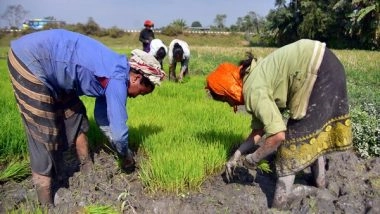 Business News | Over 73 Per Cent of Agriculture Budget Goes Towards Welfare Measures, Subsidies: ICRIER