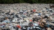 Science News | Plastic Pollution, Seawater Flooding Can Amplify Threats to Coastal Plant Species: Study