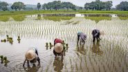 Business News | India Registers 8,875 Farmer Producer Organisations Under Central Sector Scheme