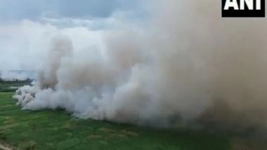 India News | Tamil Nadu: Fire Breaks out in Farming Land at Madurai