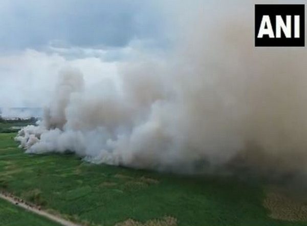 India News | Tamil Nadu: Fire Breaks out in Farming Land at Madurai