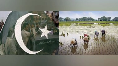 World News | Pakistan: Khyber Pakhtunkhwa Farmers Reject Hydropower Projects, Say They Would Destroy Livelihoods