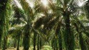 Business News | 'The Stories of Palm Oil' a 5-part Documentary Series Launched