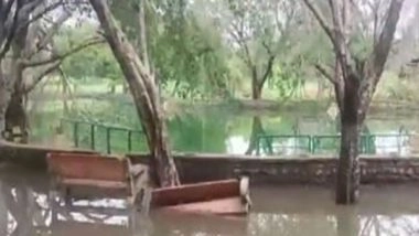 India News | 7-year-old Boy Drowns in Waterlogged Park in Delhi's Rohini; Legal Action Taken